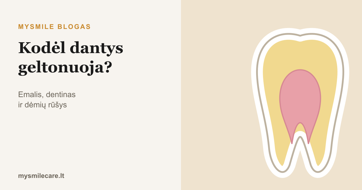Kodėl dantys geltonuoja: danties pjūvis su emaliu, dentinu ir pulpa